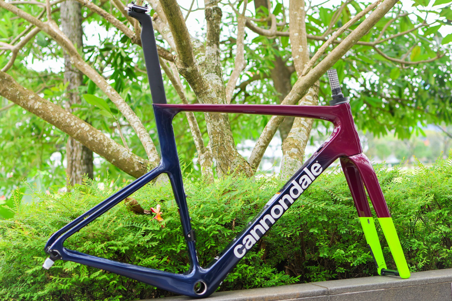 Cannondale SuperSix EVO Hi-Mod Disc BCH Black Cherry/Midnight/Hi-Viz 44